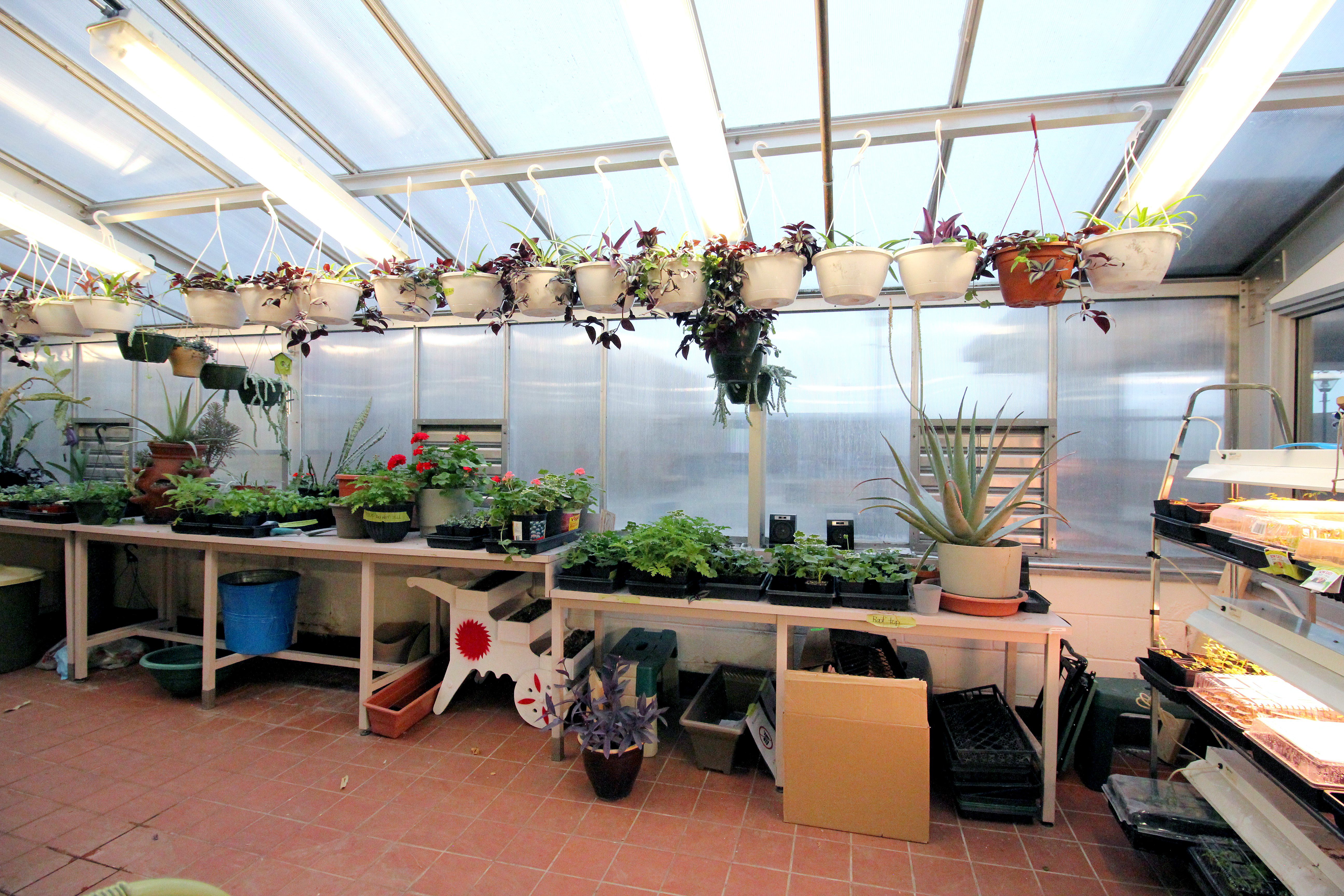 fanning-garden0983