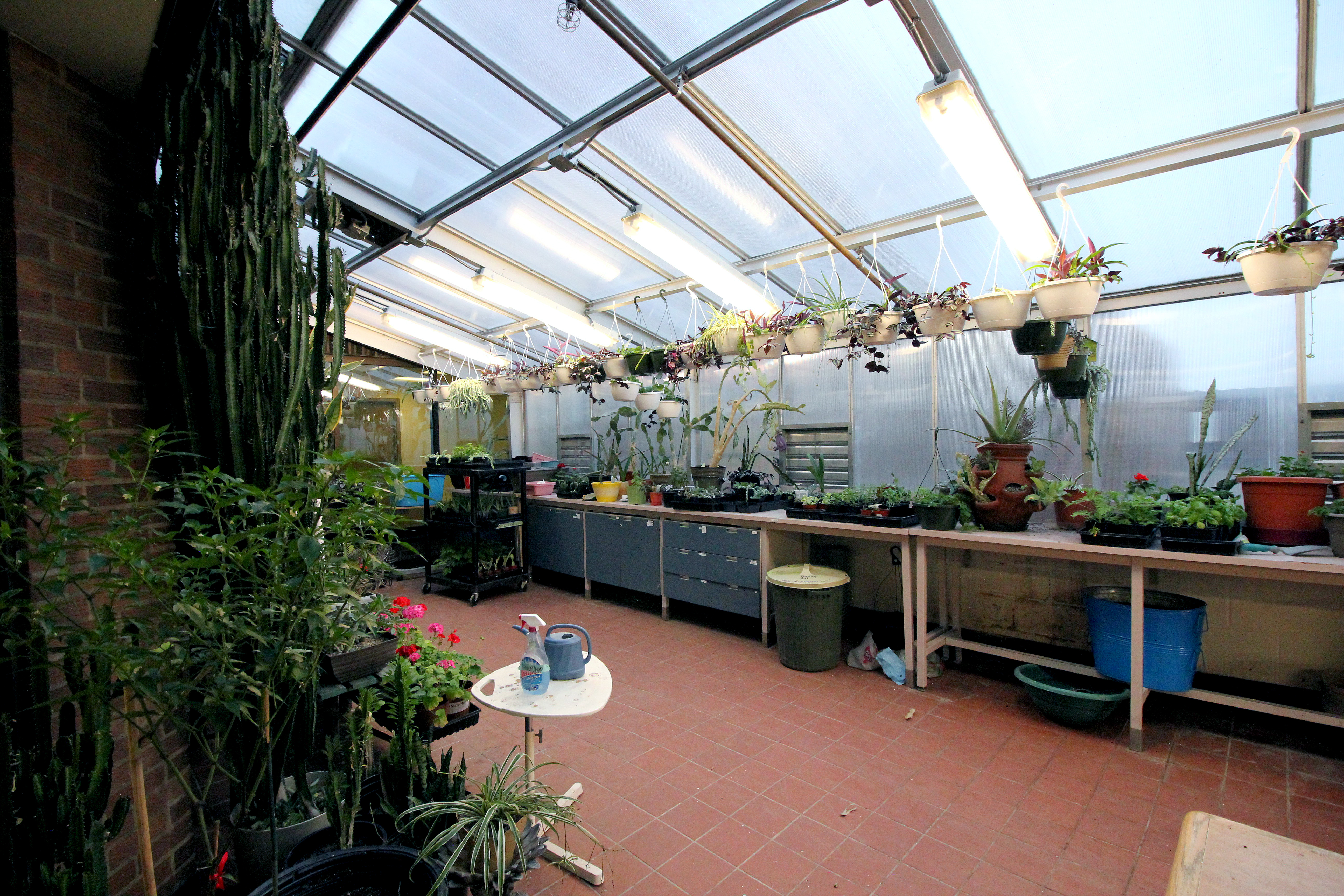 fanning-garden0987