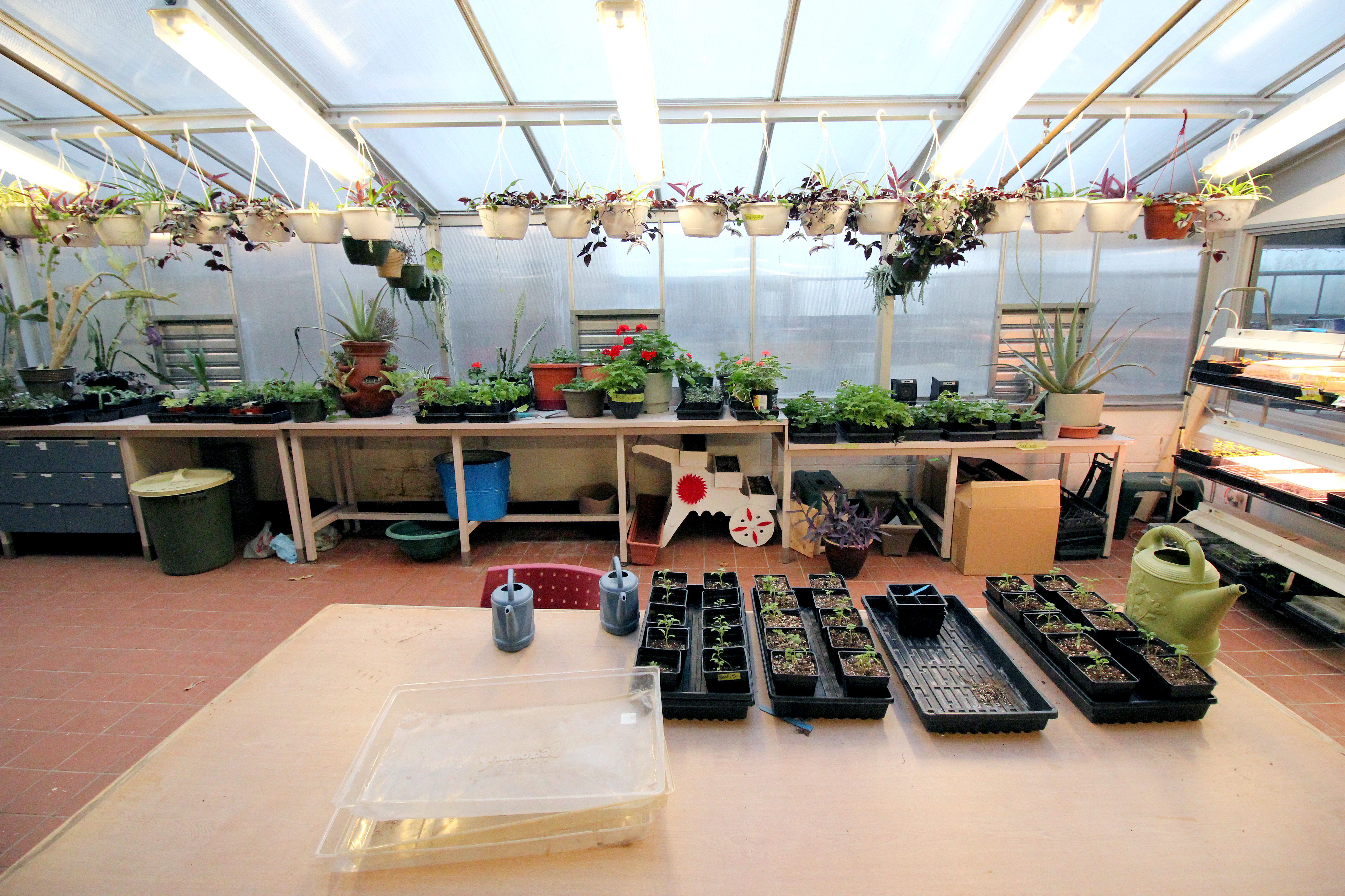 fanning-garden1006