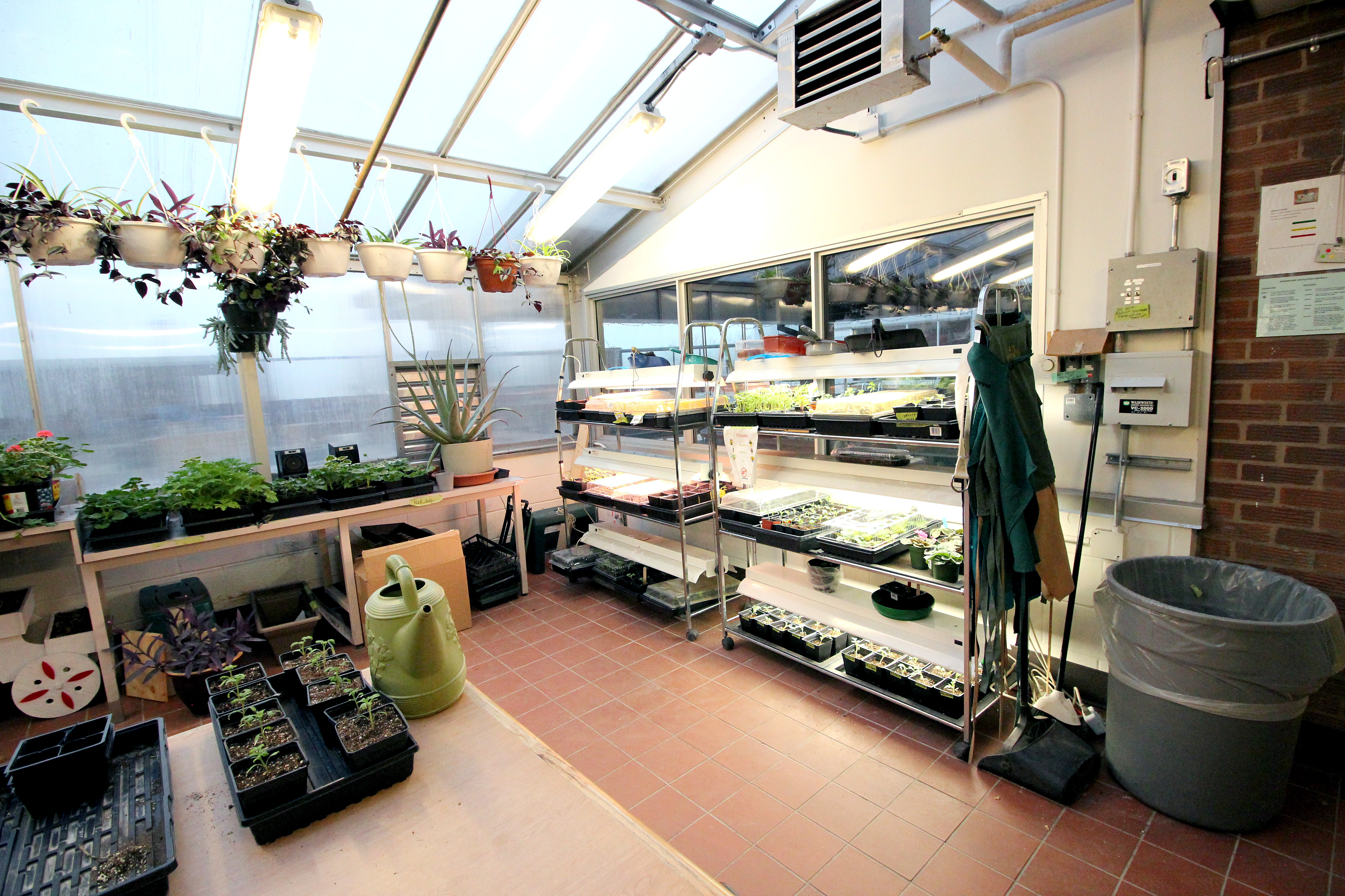 fanning-garden1010