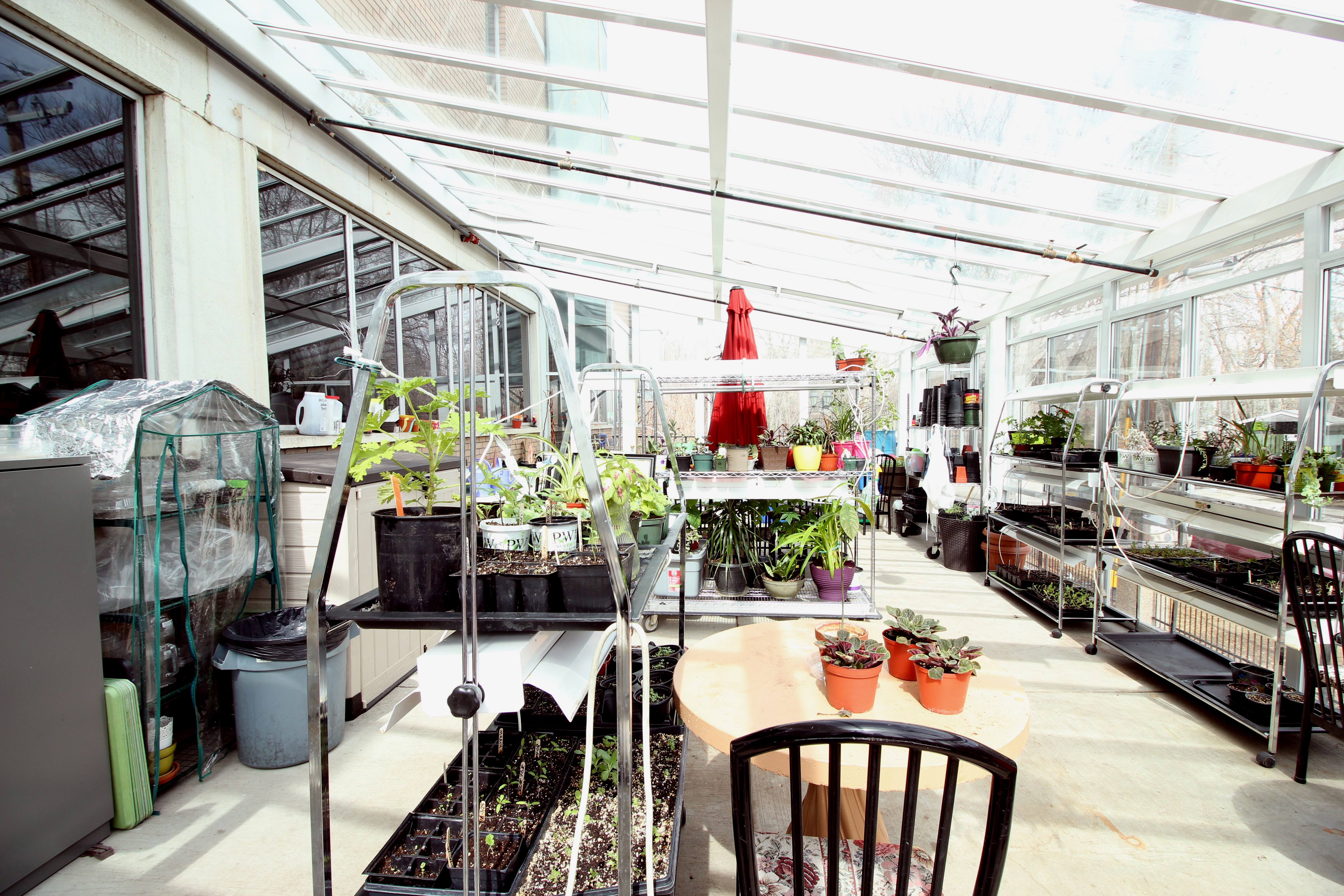 rouleau-sunroom0749