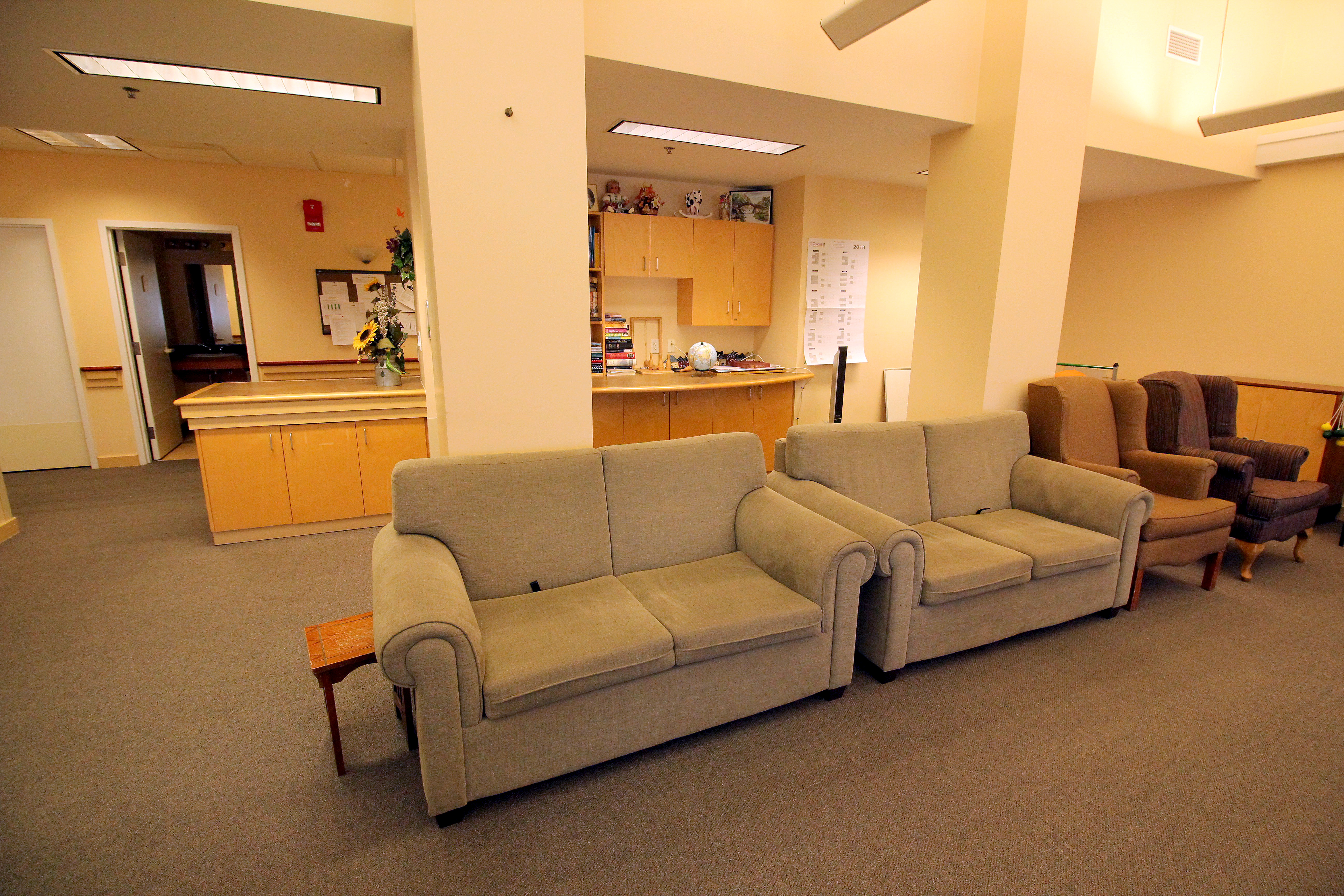 signal-pointe-adp1229